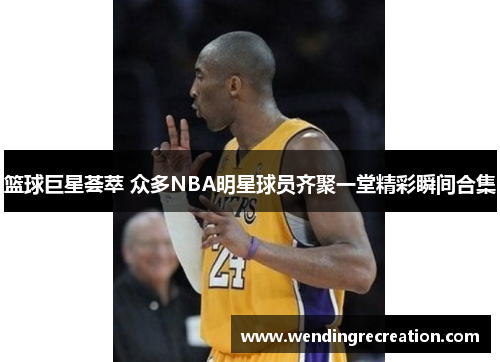 篮球巨星荟萃 众多NBA明星球员齐聚一堂精彩瞬间合集