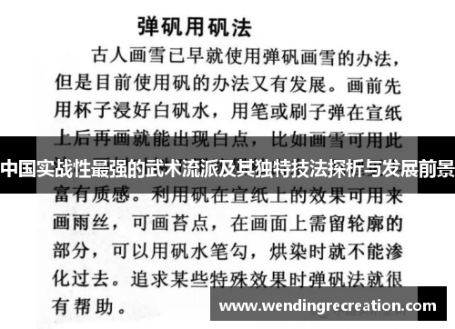 中国实战性最强的武术流派及其独特技法探析与发展前景