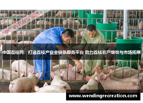 中国荔枝网：打造荔枝产业全链条服务平台 助力荔枝农户增收与市场拓展