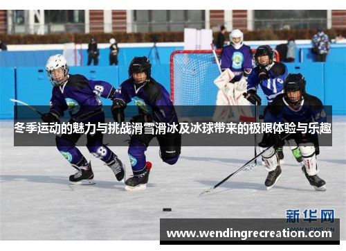 冬季运动的魅力与挑战滑雪滑冰及冰球带来的极限体验与乐趣