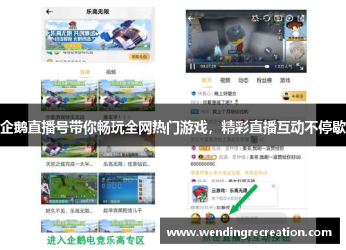 企鹅直播号带你畅玩全网热门游戏，精彩直播互动不停歇