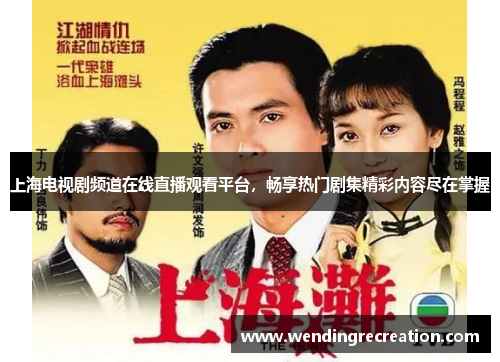 上海电视剧频道在线直播观看平台，畅享热门剧集精彩内容尽在掌握