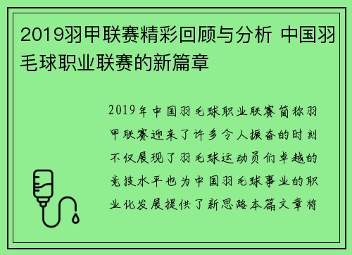 2019羽甲联赛精彩回顾与分析 中国羽毛球职业联赛的新篇章