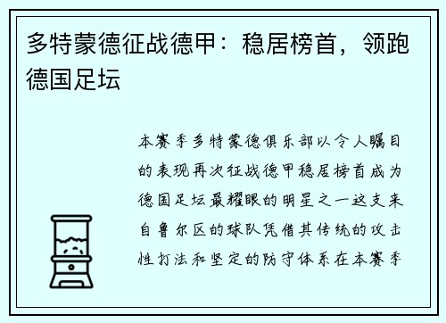 多特蒙德征战德甲：稳居榜首，领跑德国足坛