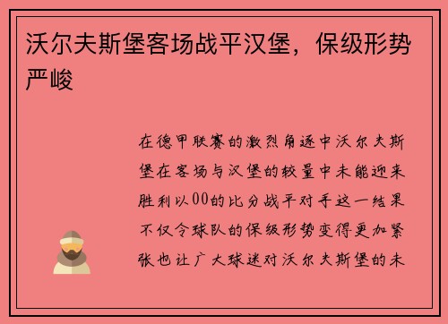 沃尔夫斯堡客场战平汉堡，保级形势严峻